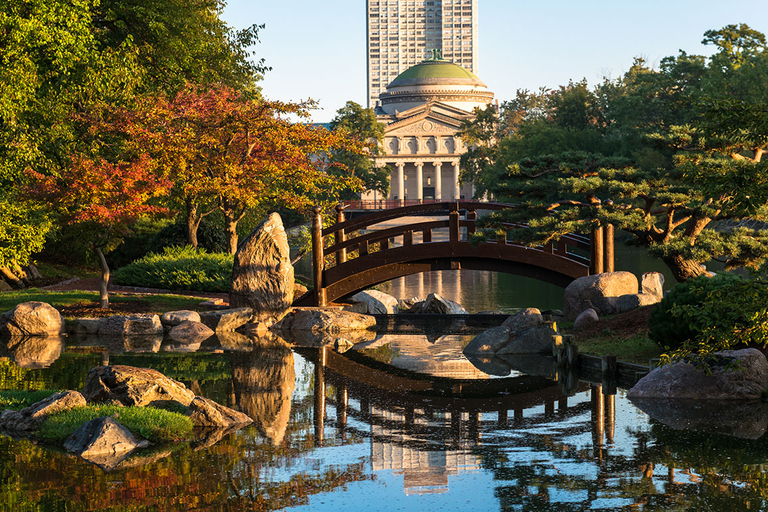 Hyde Park, Chicago